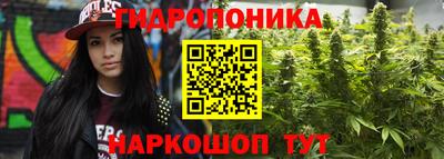 мдпв Мариинск